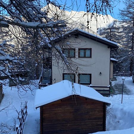 Green Mountain Lodge Oulx Dış mekan fotoğraf